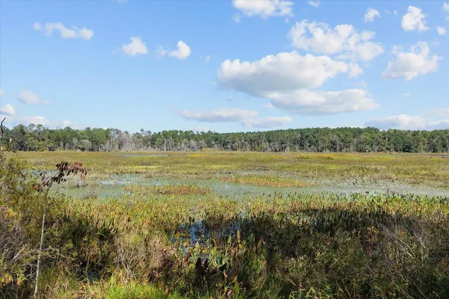 Vacant NW Little Cat Road, Madison, FL 32340 - Image #3