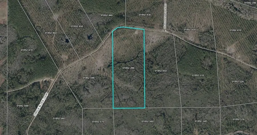 Lot 49 Circle Block Loop, Perry, FL 32348 - Image #2