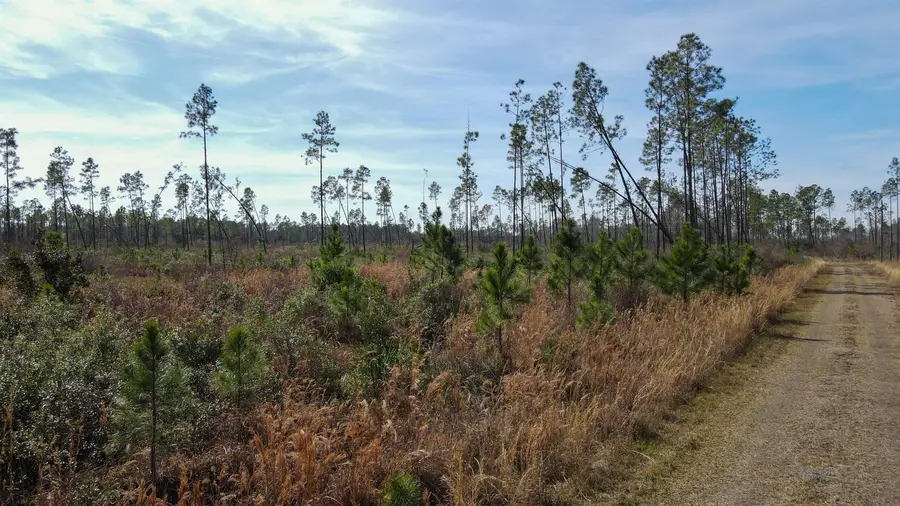 Lot 49 Circle Block Loop, Perry, FL 32348 - Image #3