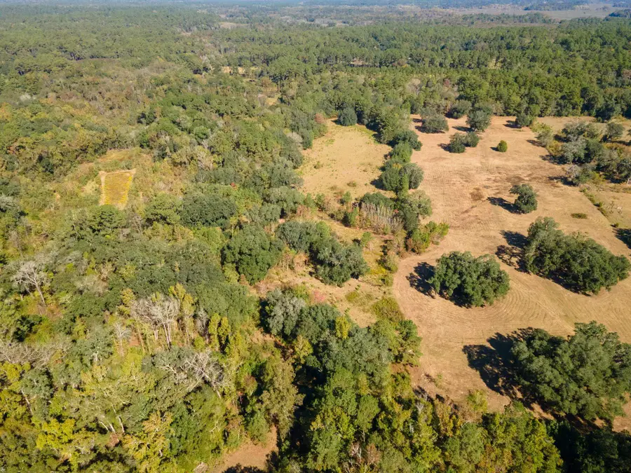 Y Gardners Farm Road, Tallahassee, FL 32312 - Image #3