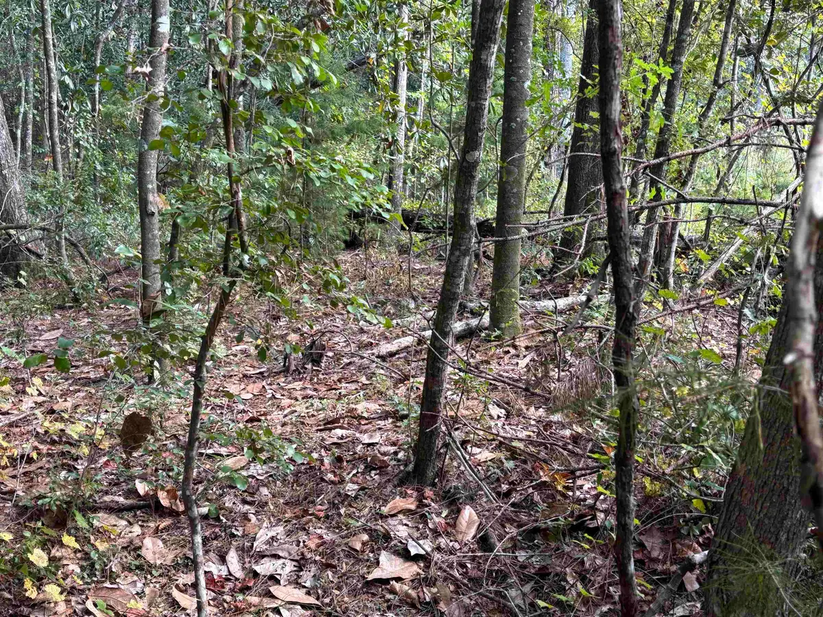 xxxx Sweetwater Lane, Tallahassee, FL 32311 - Image #1