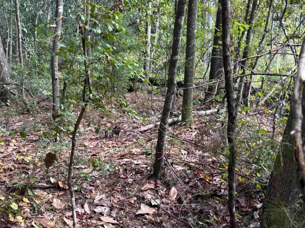 xxxx Sweetwater Lane, Tallahassee, FL 32311