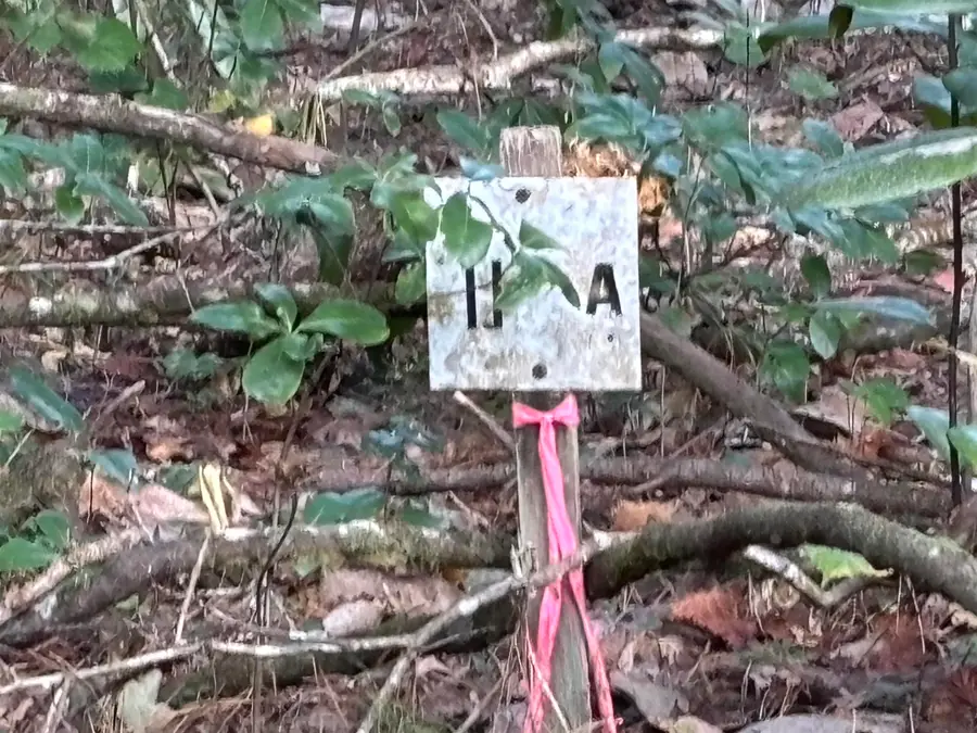 xxxx Sweetwater Lane, Tallahassee, FL 32311 - Image #2