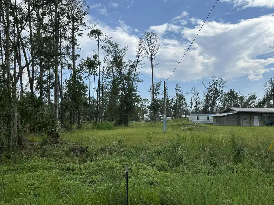 Lot 5 Fifth Avenue Avenue, Steinhatchee, FL 32359 - Image #2