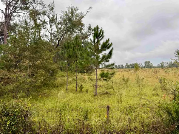 TBD 104th Street, Live Oak, FL 32060