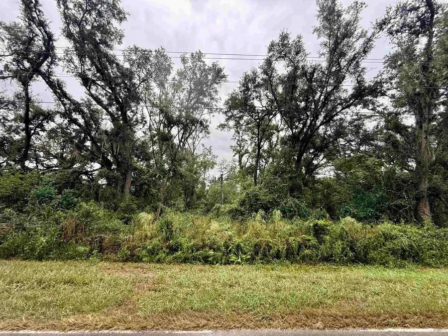 TBD 104th Street, Live Oak, FL 32060 - Image #3
