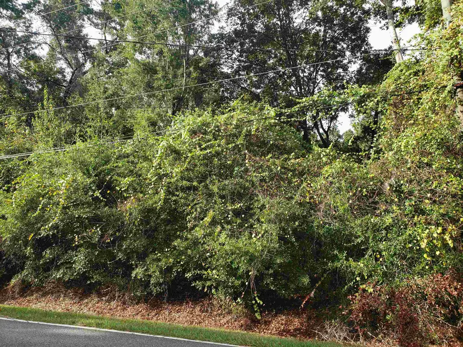 0 Lonnie Road, Tallahassee, FL 32308 - Image #2