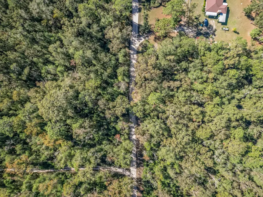 xxx Luke Smith Road, Crawfordville, FL 32327 - Image #3