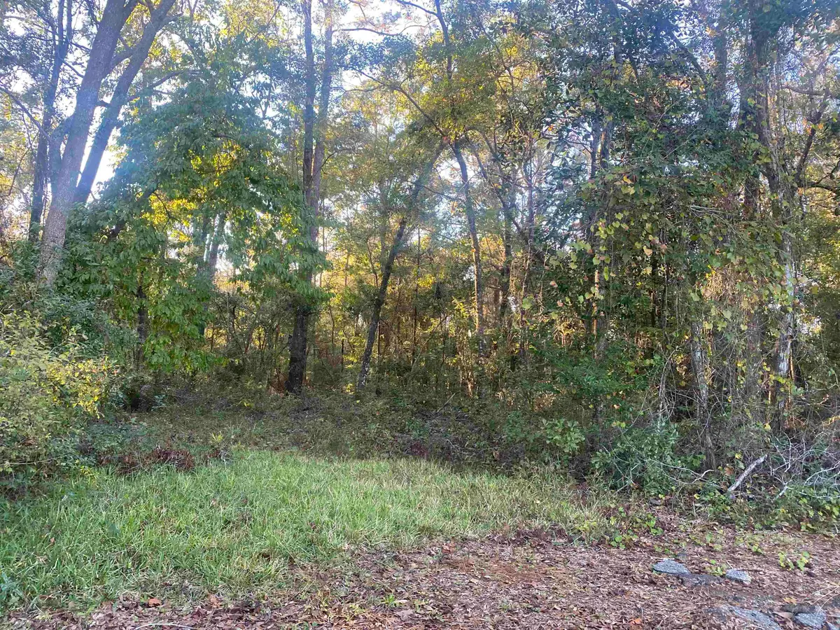 0 Old St Augustine Road, Tallahassee, FL 32311 - Image #1
