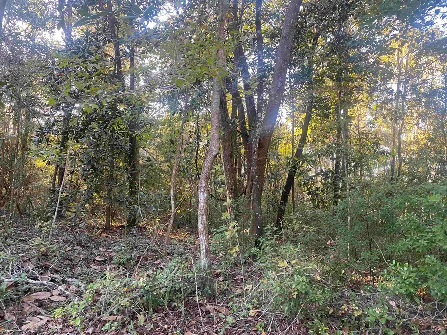 0 Old St Augustine Road, Tallahassee, FL 32311 - Image #2