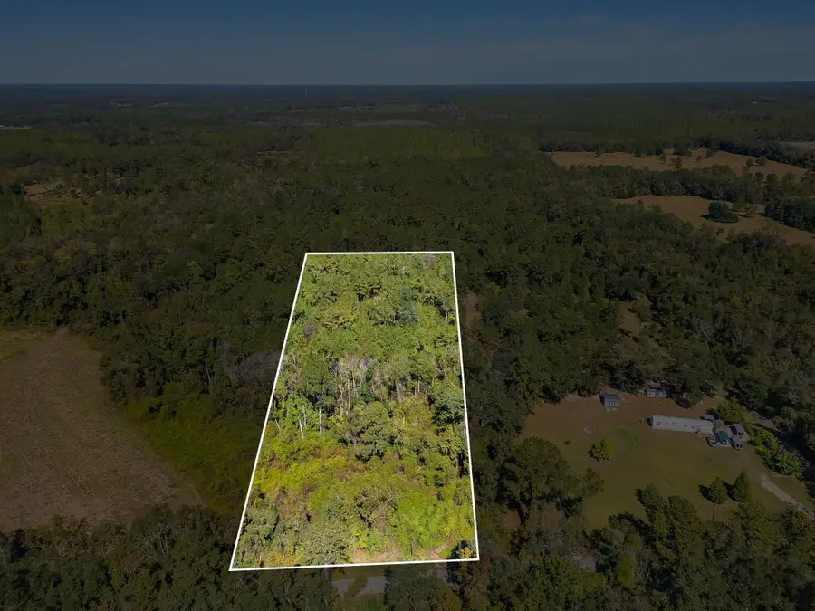 TBD Barnes Road, Monticello, FL 32344 - Image #3