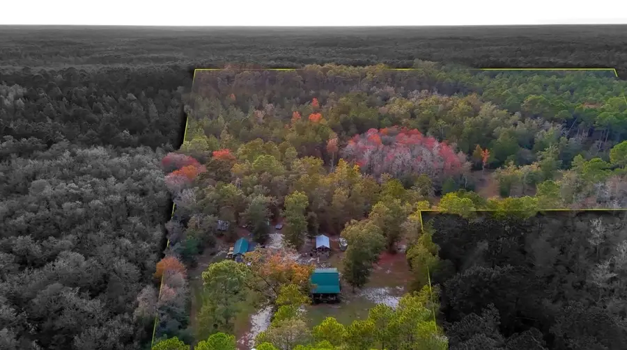 38134 SW Forest Road 123, Bristol, FL 32321 - #3