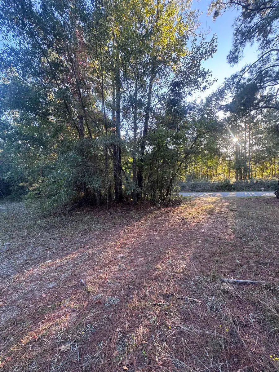 153 Davidson Street, Quincy, FL 32351 - Image #2