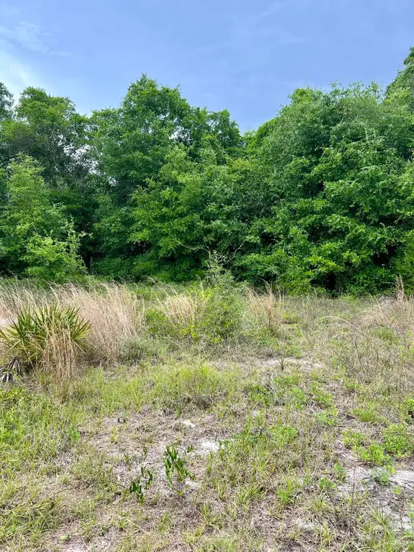 2523 Palmetto Terrace, Lanark Village, FL 32323