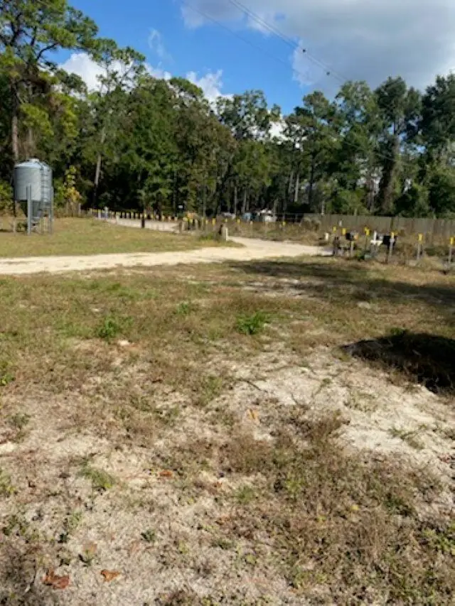 Ashley Hall Road, Crawfordville, FL 32327 - Image #1