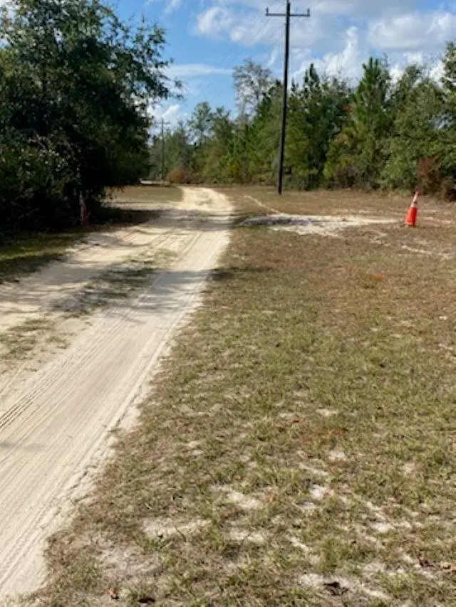 Ashley Hall Road, Crawfordville, FL 32327 - Image #3