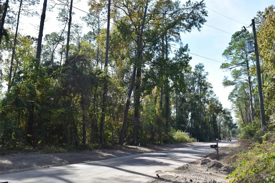 Powhatan Street, Crawfordville, FL 32327 - Image #2