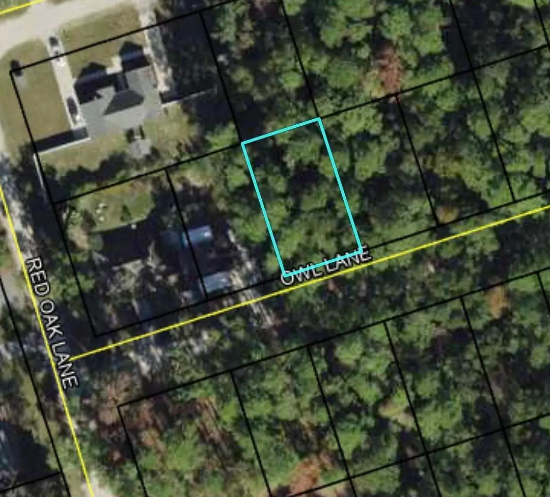 Lot 58 Owl Lane, Crawfordville, FL 32327 - Image #1