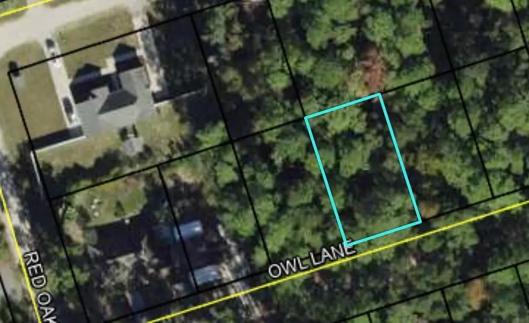 Lot 57 Owl Lane, Crawfordville, FL 32327 - Image #1
