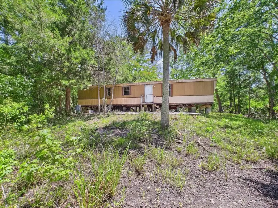 23210 Nutall Rise Road, Lamont, FL 32336 - Image #3
