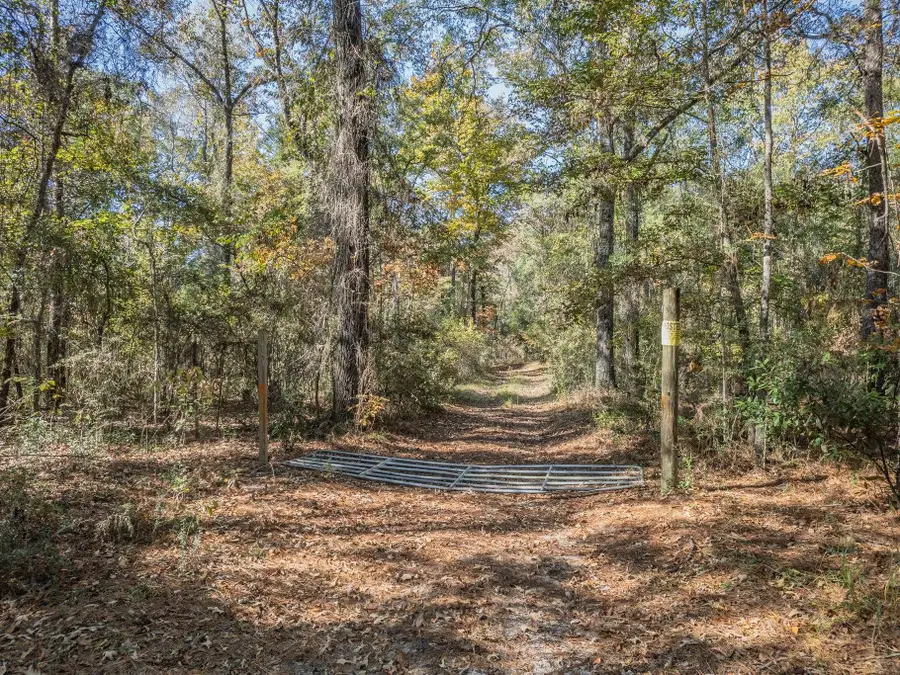 9412 Ranchero Road, Tallahassee, FL 32305 - Image #3