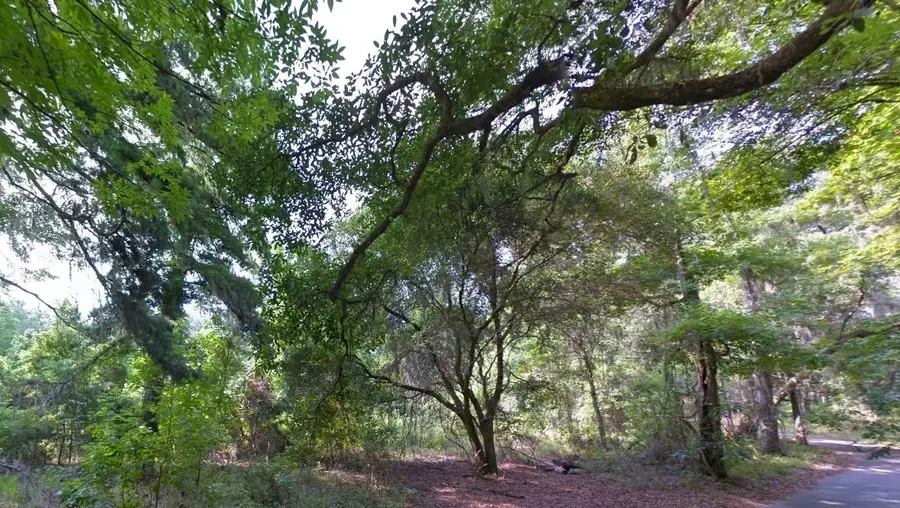 000 Moorhen Circle, Tallahassee, FL 32312 - #2