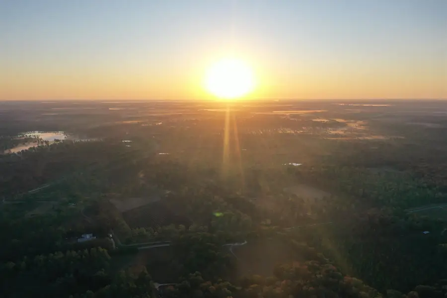 9283 Tallokas Road, Barwick Pavo, GA 31778 - Image #2