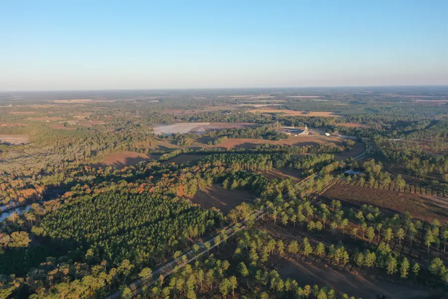 9283 Tallokas Road, Barwick Pavo, GA 31778 - Image #3
