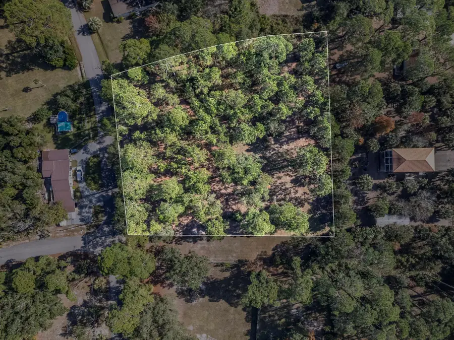 xx Piney Street, Panacea, FL 32346 - Image #3