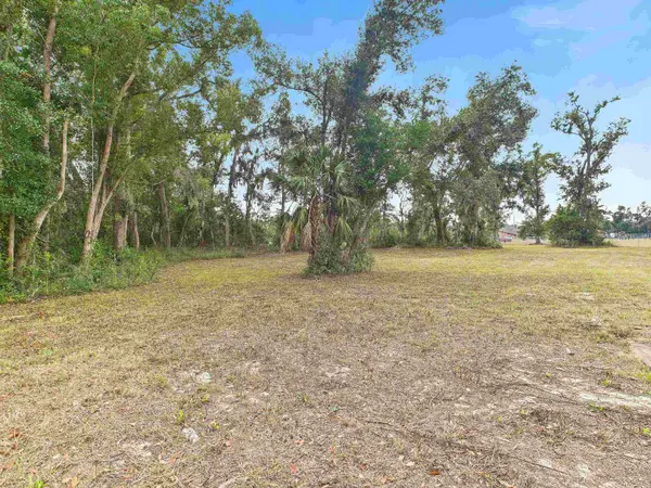 Vacant Marshall Drive, Perry, FL 32347