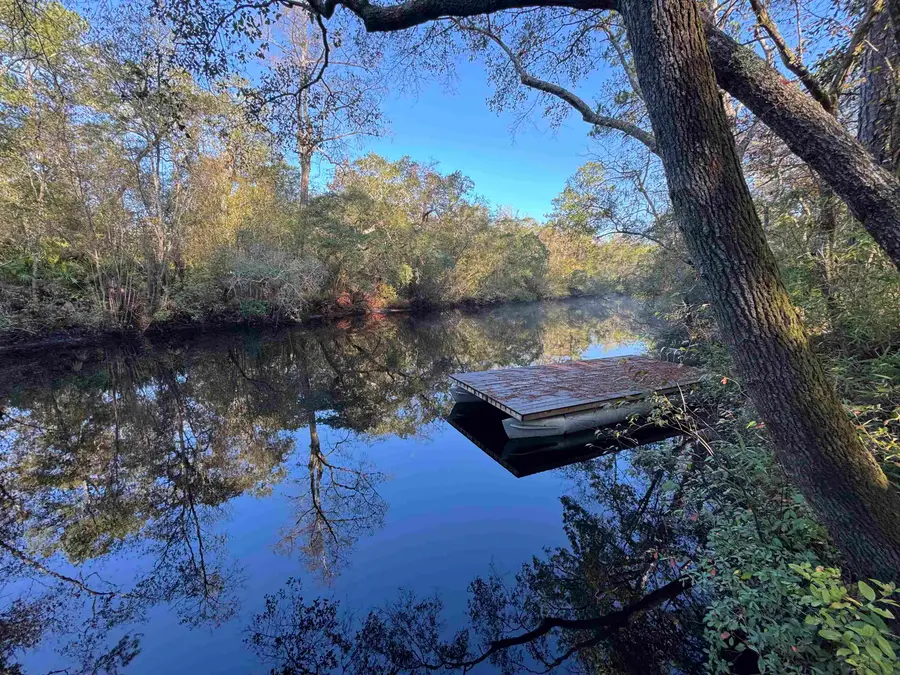 Lot 91 Seminole Lane, Sopchoppy, FL 32358 - Image #3
