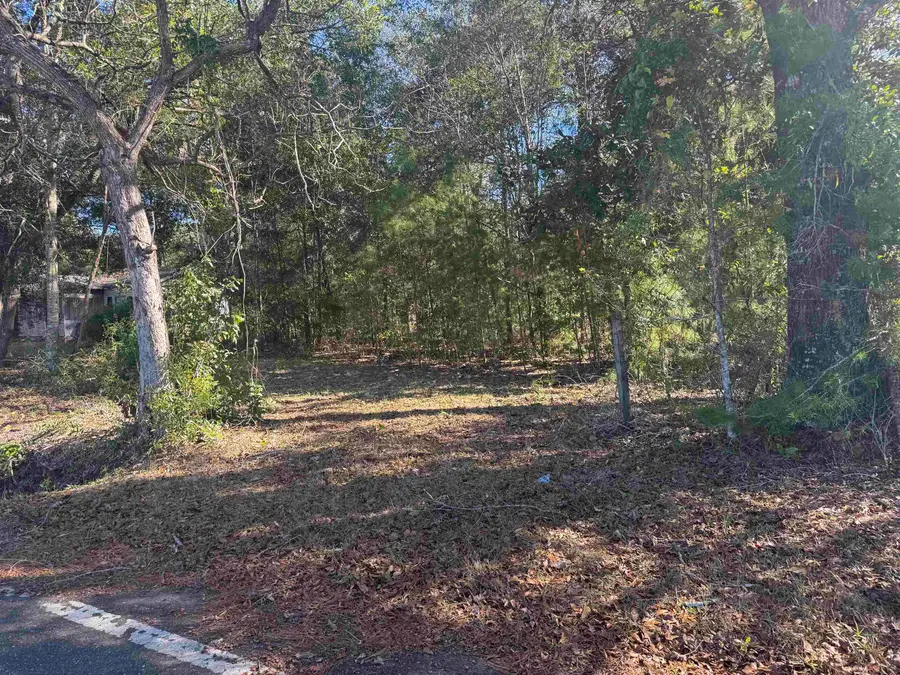 290 Schwall Road, Havana, FL 32333 - Image #2