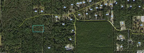 0000 Luke Smith Road, Crawfordville, FL 32327