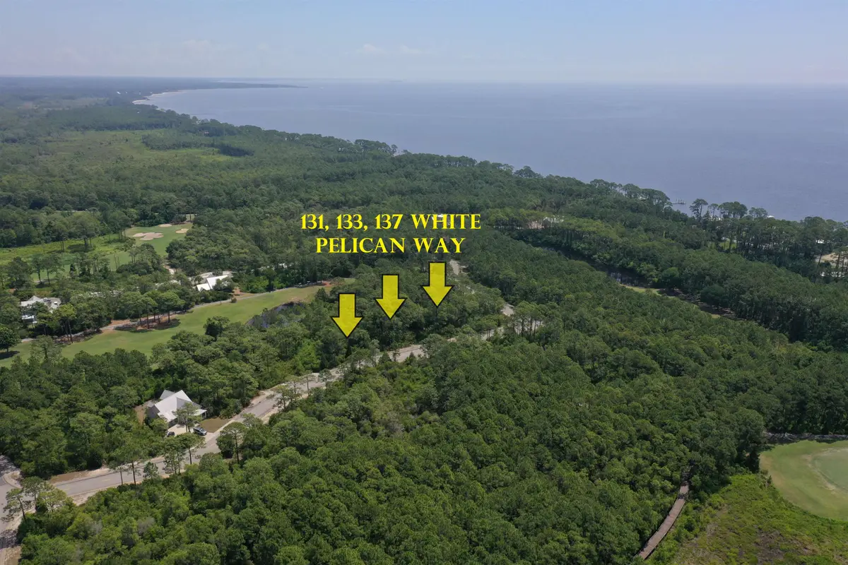 131-137 White Pelican Way, Carrabelle, FL 32322 - Image #1