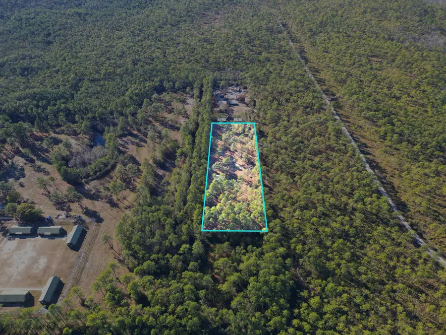 13563 SW Forest Road 141, Bristol, FL 32321 - Image #2