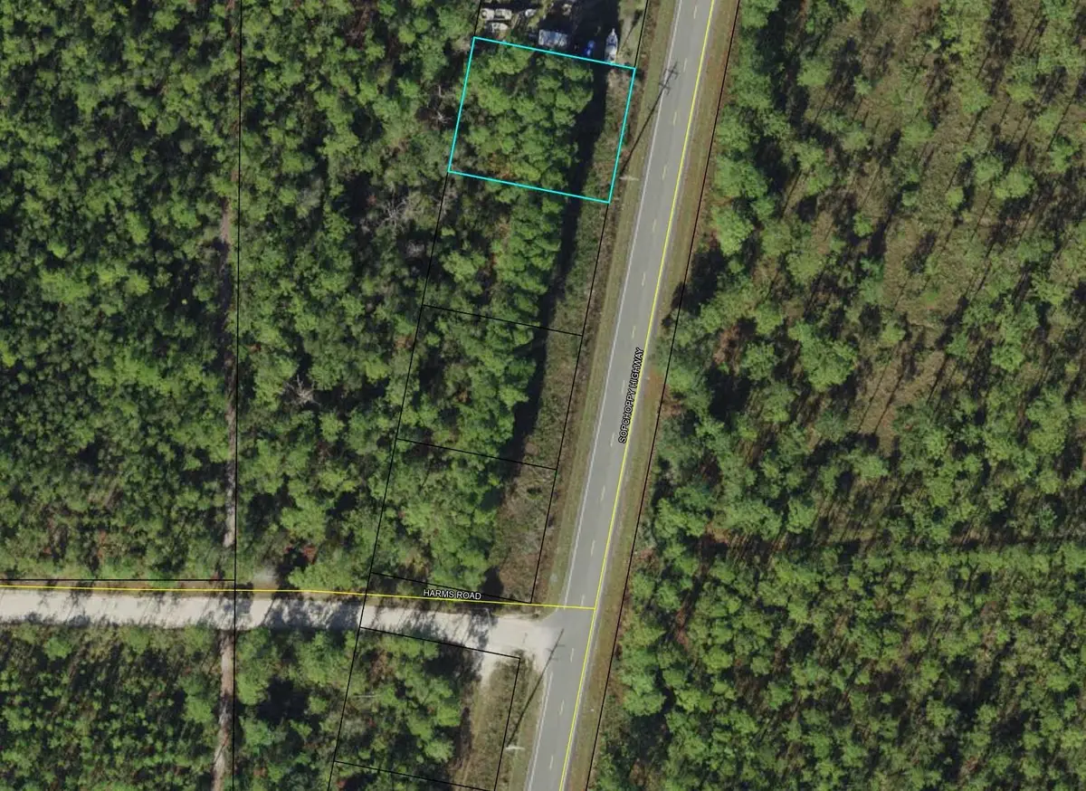 XXXX Sopchoppy Highway, Sopchoppy, FL 32358 - Image #1