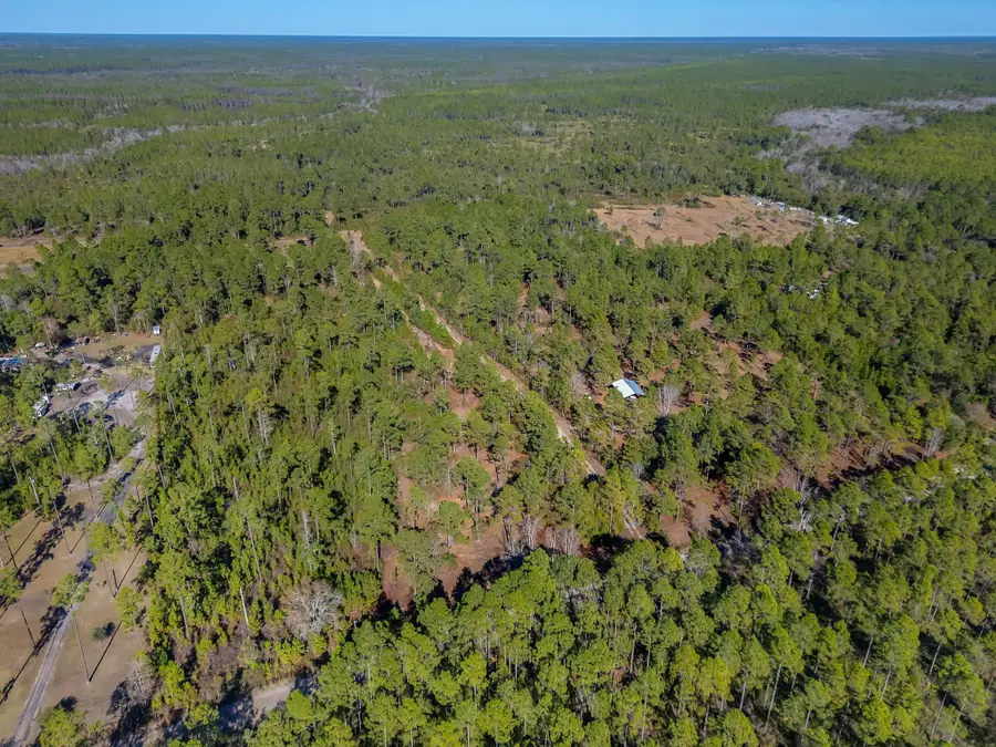 311 Clarks Landing Road, Carrabelle, FL 32322 - Image #3