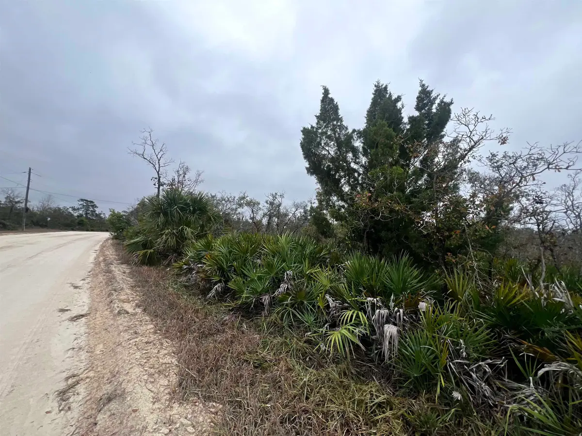 15819 Sea Breeze Drive, Perry, FL 32348 - Image #1