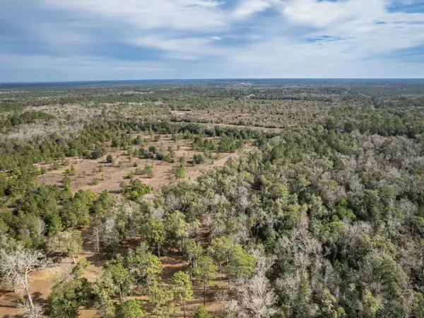 XXX Lawhon Mill Road, Crawfordville, FL 32327