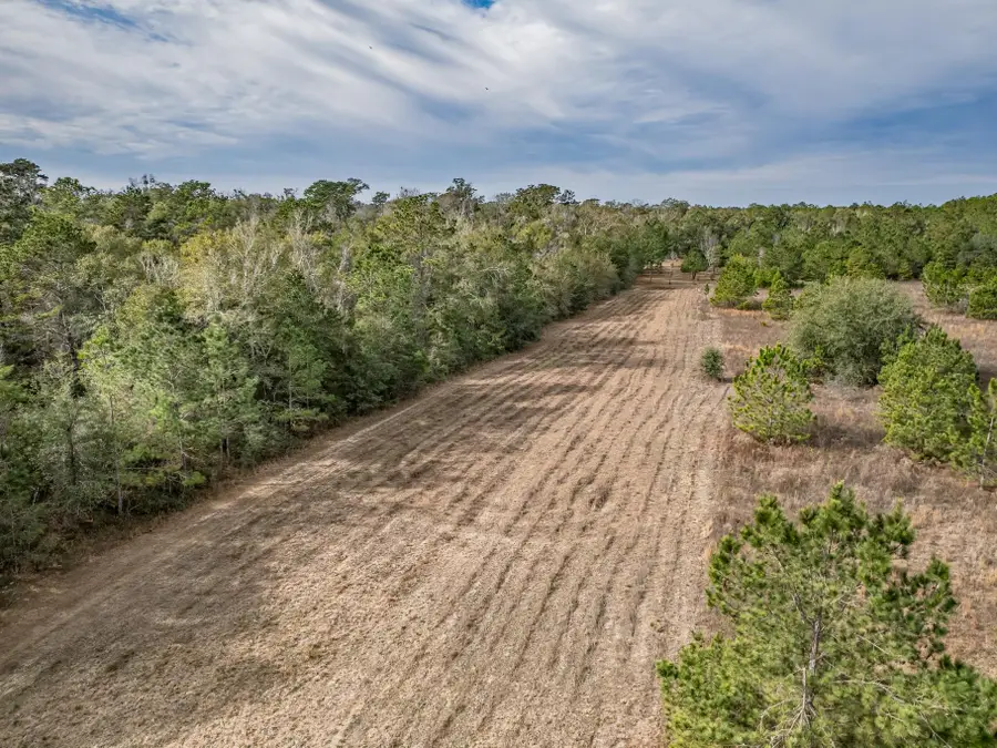 XXX Lawhon Mill Road, Crawfordville, FL 32327 - Image #2