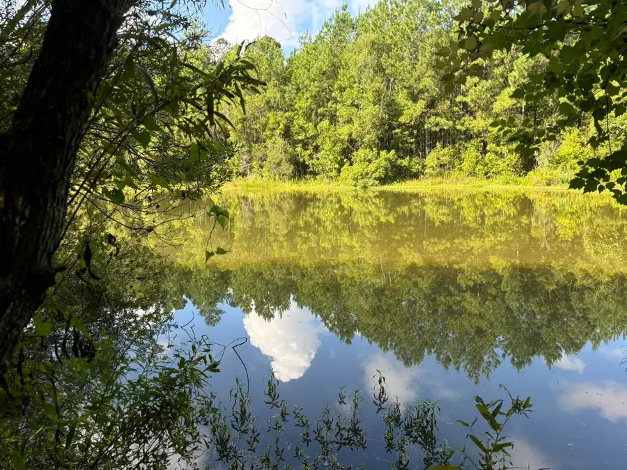 000 27 Highway, Bainbridge, GA 39819 - Image #2