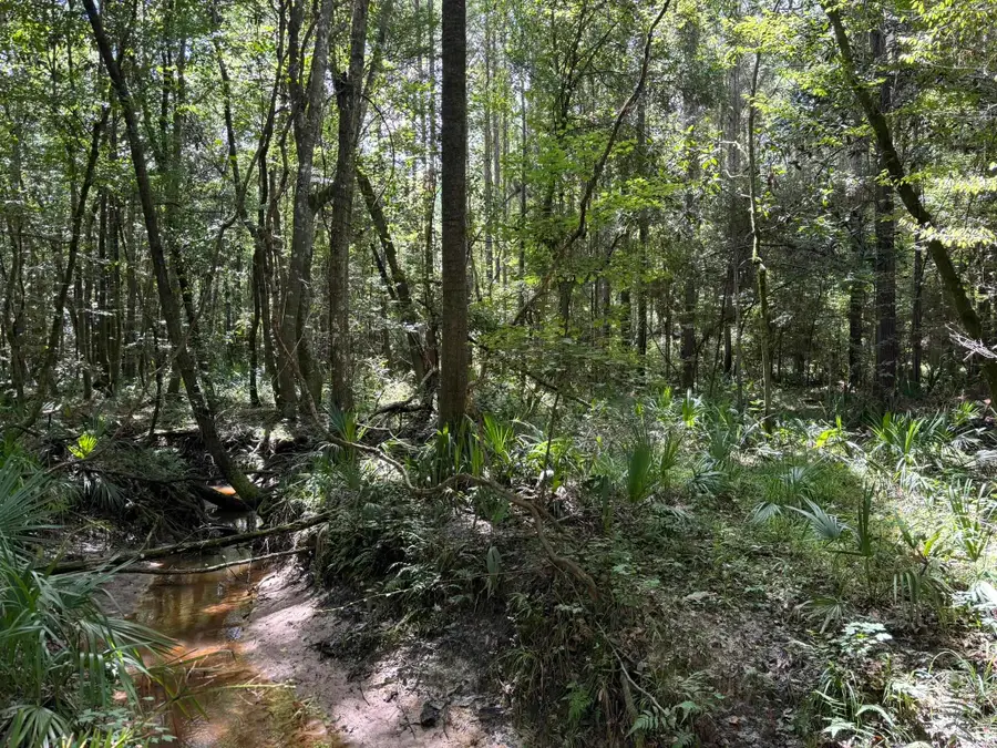 000 27 Highway, Bainbridge, GA 39819 - Image #3