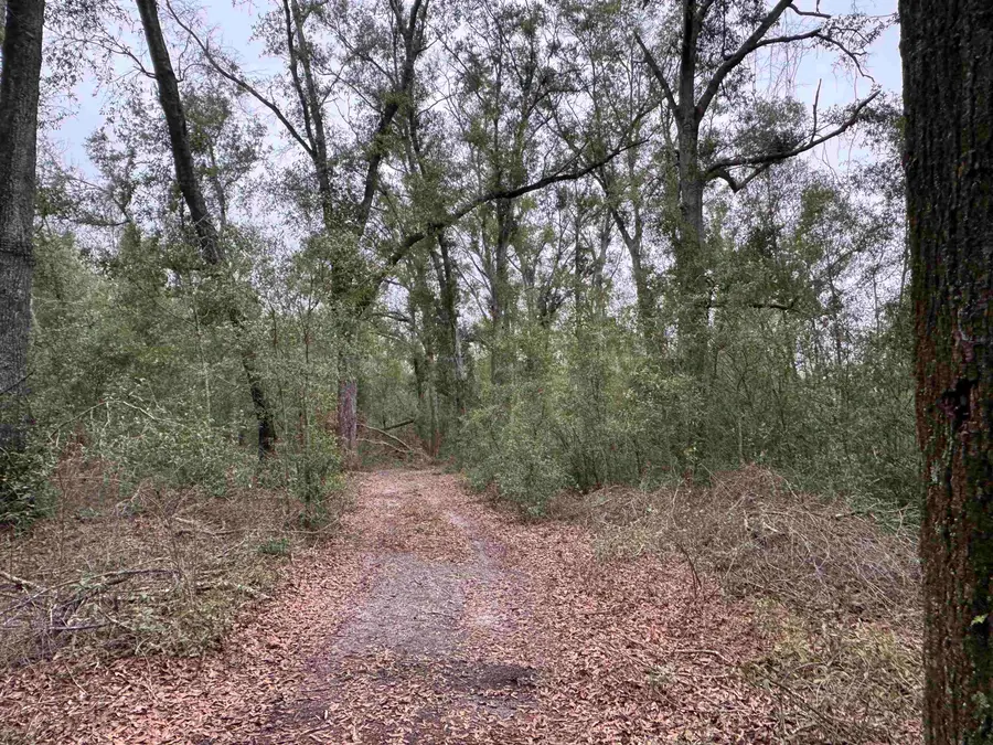 Parcel 6 E Us 90 Highway, Lee, FL 32059 - Image #3