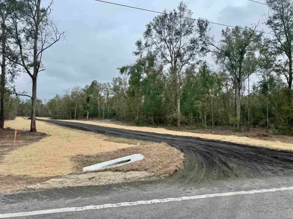 Parcel 1 E Us 90 Highway, Lee, FL 32059