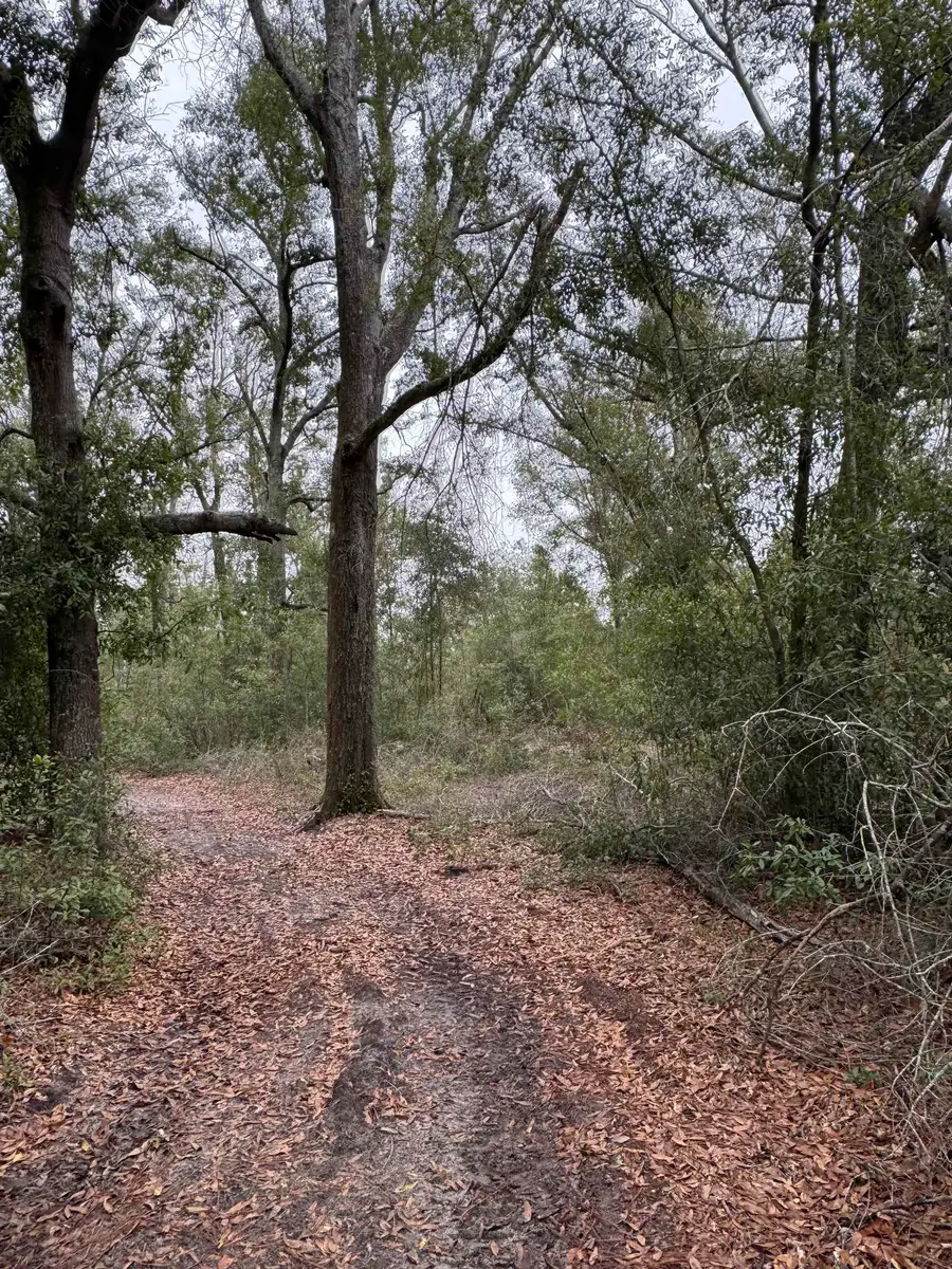 Parcel 1 E Us 90 Highway, Lee, FL 32059 - Image #3