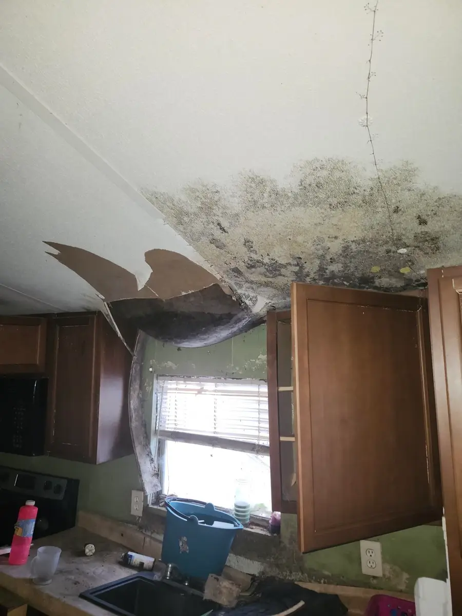 5076 Meadowlark Lane, Tallahassee, FL 32303 - Image #2