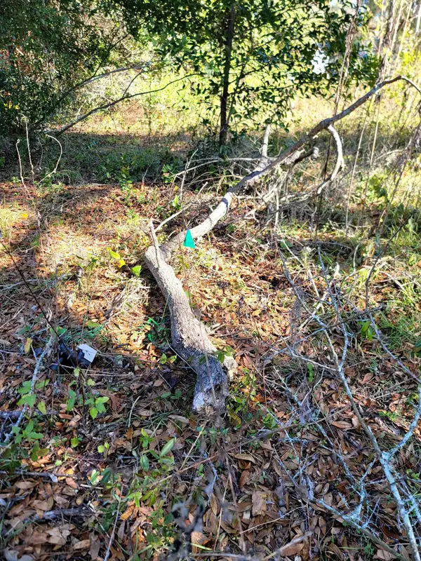 842 Ridge Road, Tallahassee, FL 32305