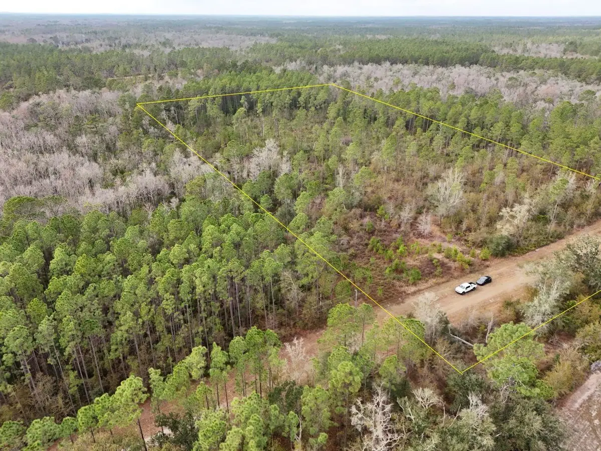 Vacant SW Ontario Road, Greenville, FL 32331 - Image #1