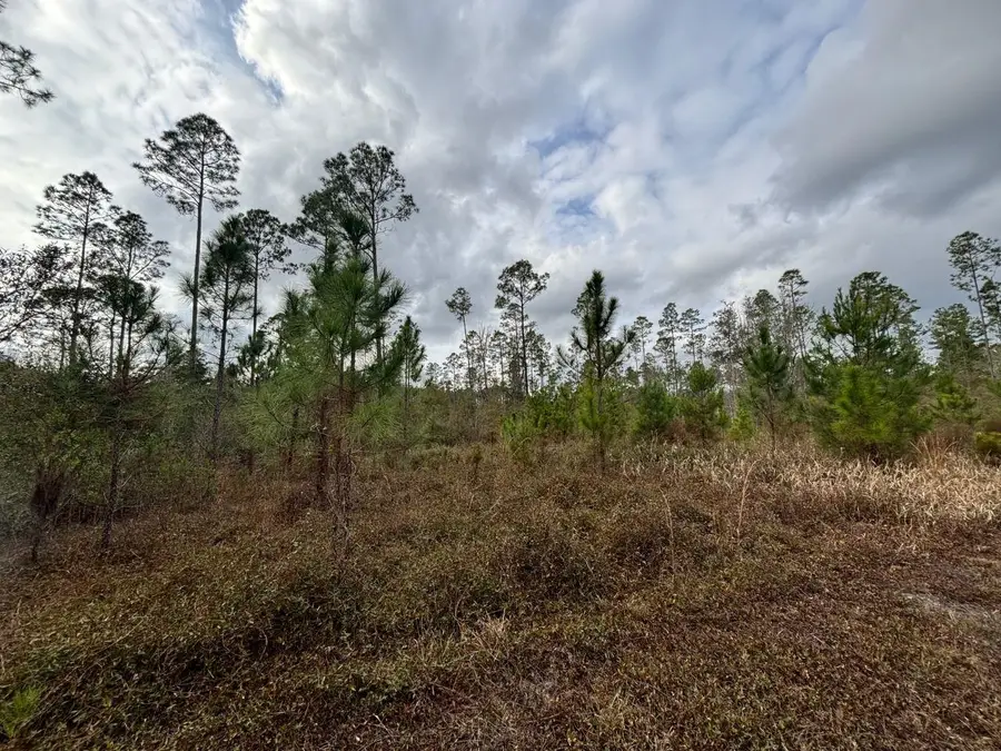 Vacant SW Ontario Road, Greenville, FL 32331 - Image #3