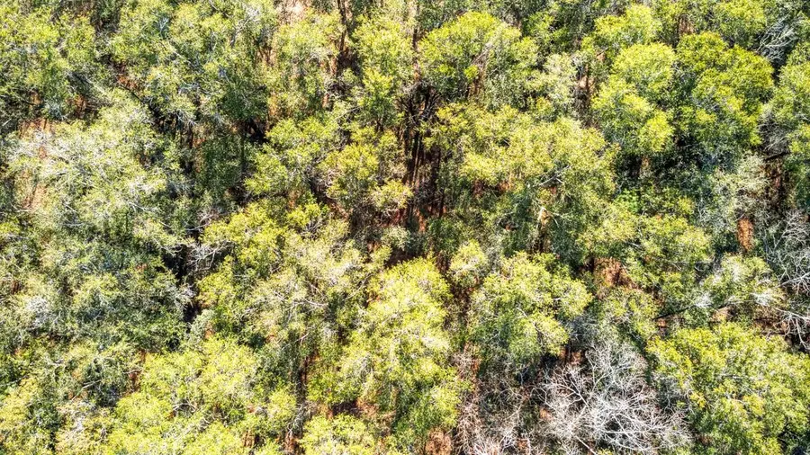 0 Lesley St, Tallahassee, FL 32305 - Image #3